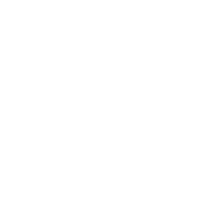 Orthotics_icon